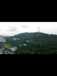 Beauty World Centre (D21), Apartment #983052
